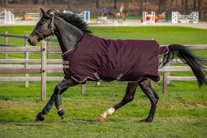 Horseware AMIGO Outdoordecke Hero Ripstop 100g Horseware AMIGO Outdoordecke Hero Ripstop 100g